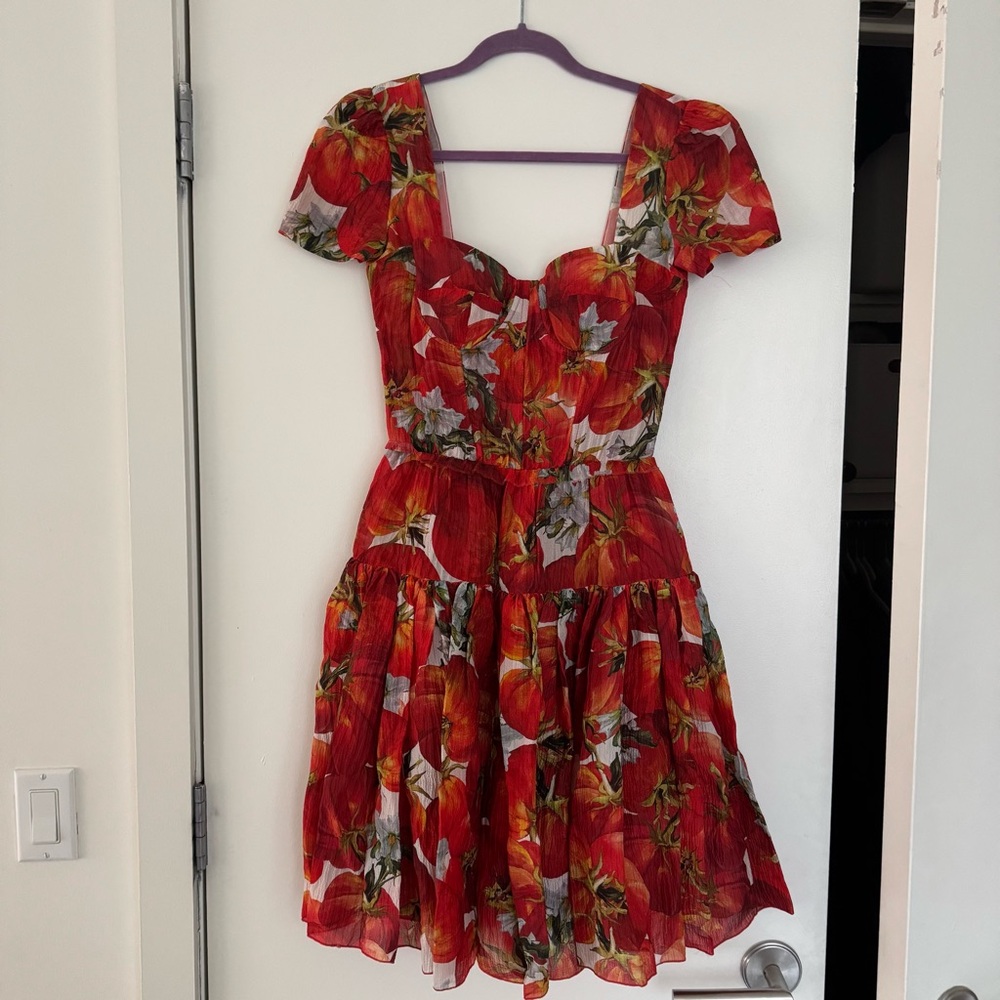 Dolce & Gabbana Spring 2012 Red Tomato Silk Print Midi Dress